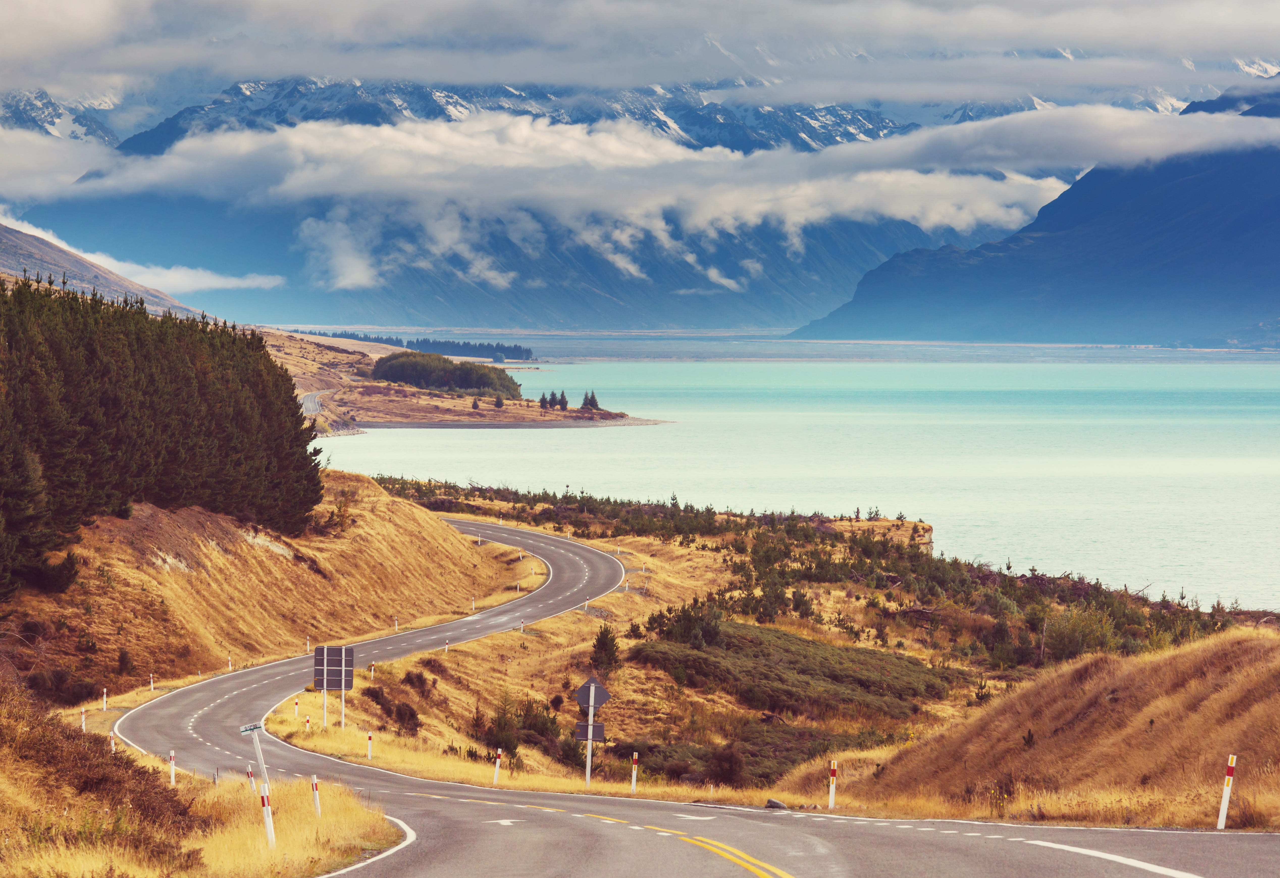 New Zealand Road Trip