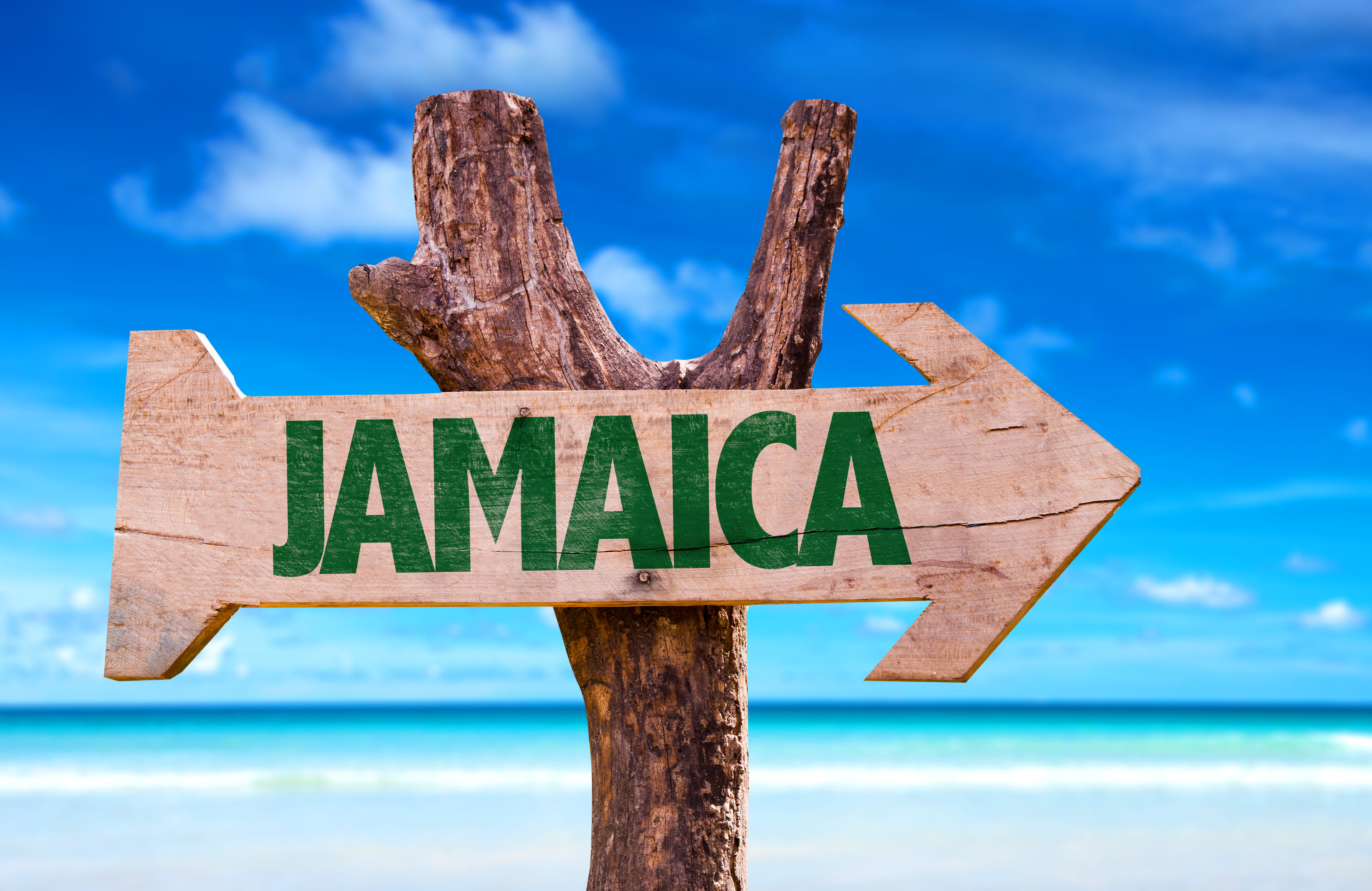 Plan a Jamaica Family Road Trip Summer 2026