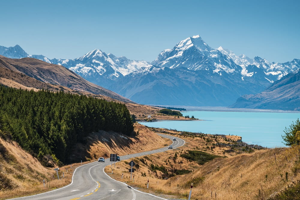 Driving in New Zealand 