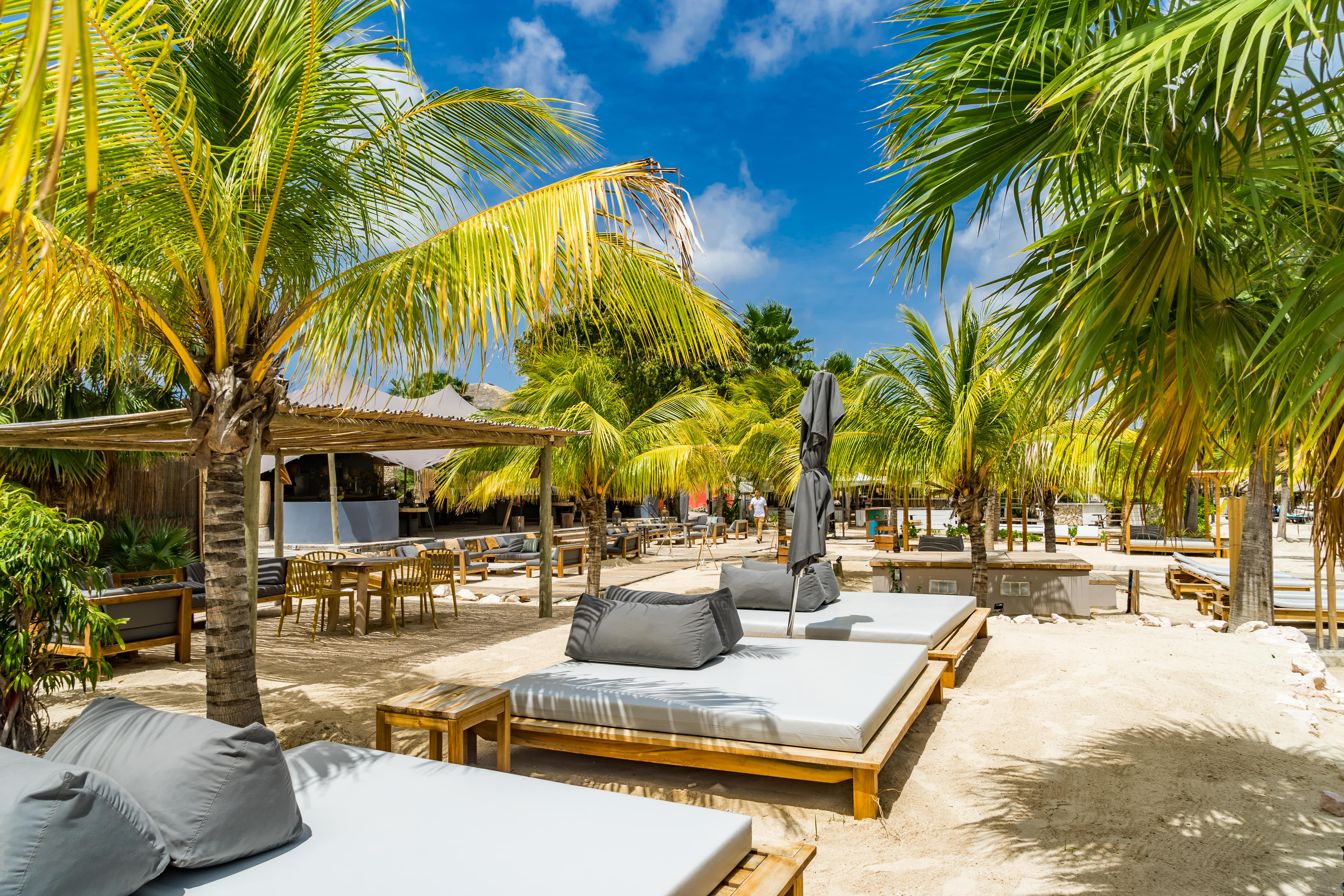 Best Time to Visit Curaçao: Your Guide to Seasons, Weather, and Must-See Events