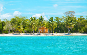 Why the Dominican Republic Dominates This Winter Travel Season?