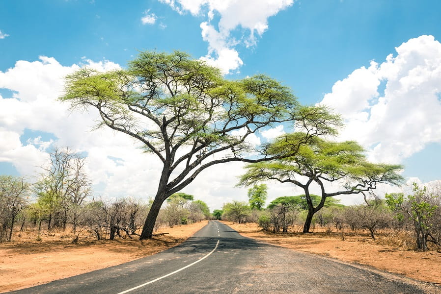 Zimbabwe Traffic Police Roadblock
